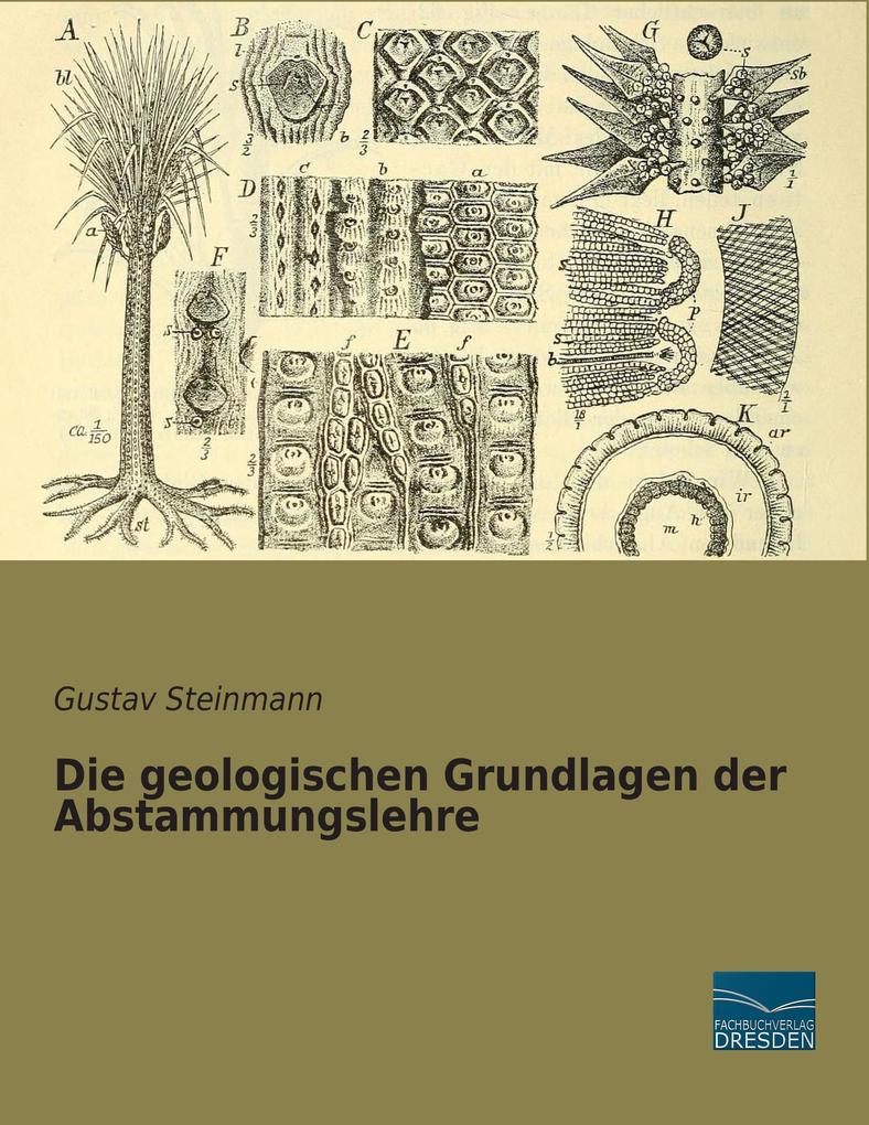 Die geologischen Grundlagen der Abstammungslehre - Gustav Steinmann