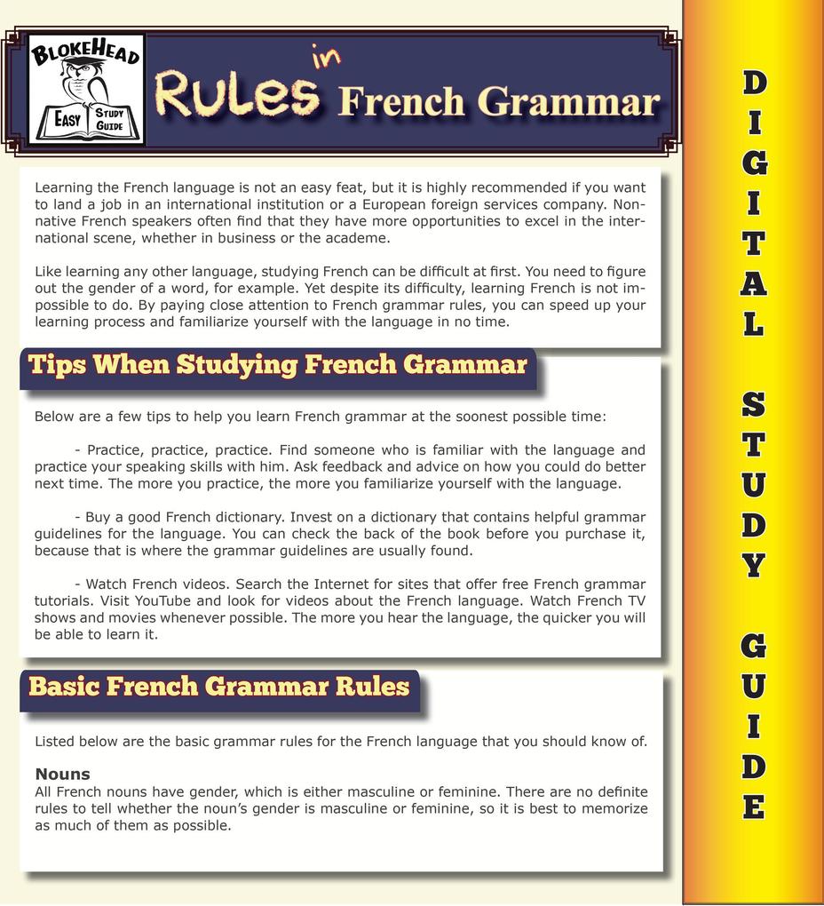 Rules In French Grammar ( Blokehead Easy Study Guide)