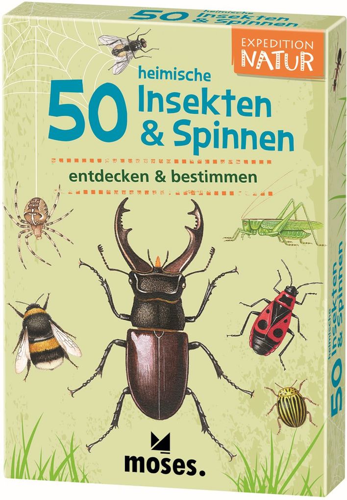 Image of 50 heimische Insekten & Spinnen entdecken & bestimmen, 50 Ktn.