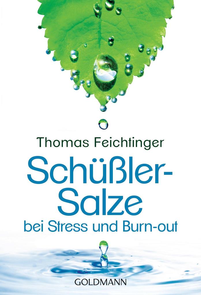 Schüßler-Salze bei Stress und Burn-out - Thomas Feichtinger