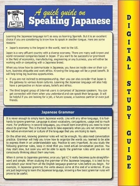 Japanese Grammar ( Blokehead Easy Study Guide)