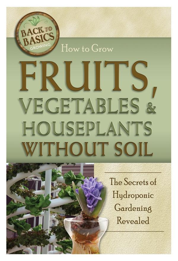 How to Grow Fruits Vegetables & Houseplants Without Soil