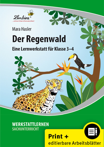 Image of Der Regenwald m. CD-ROM