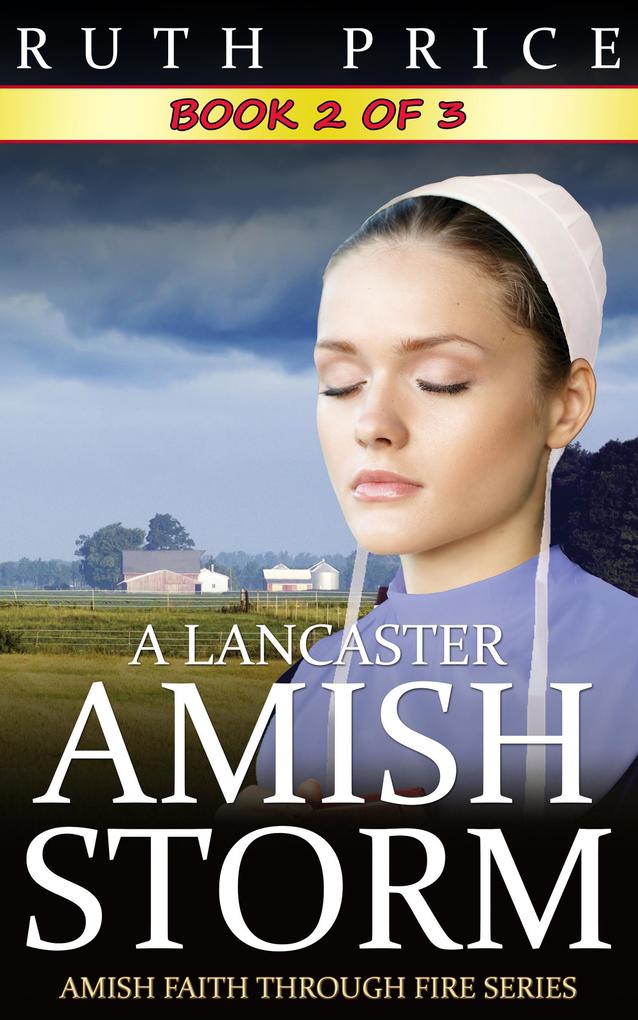 A Lancaster Amish Storm - Book 2 (A Lancaster Amish Storm (Amish Faith Through Fire) #2)