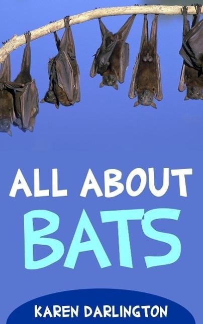 All About Bats (All About Everything #13)