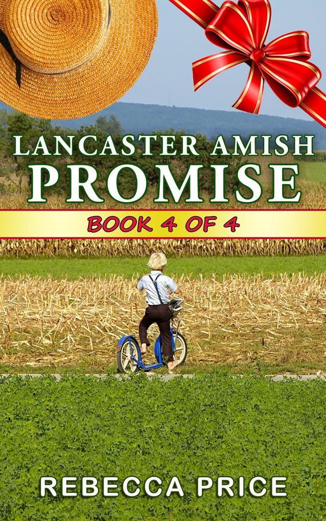 Lancaster Amish Promise (The Lancaster Amish Juggler Series #4)