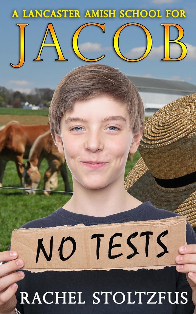 A Lancaster Amish School for Jacob (A Home for Jacob #4)