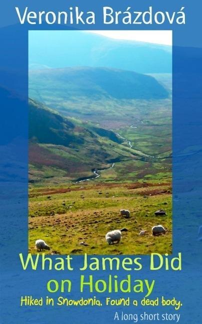 What James Did on Holiday (The Adventures of James Martin and Rose #1)