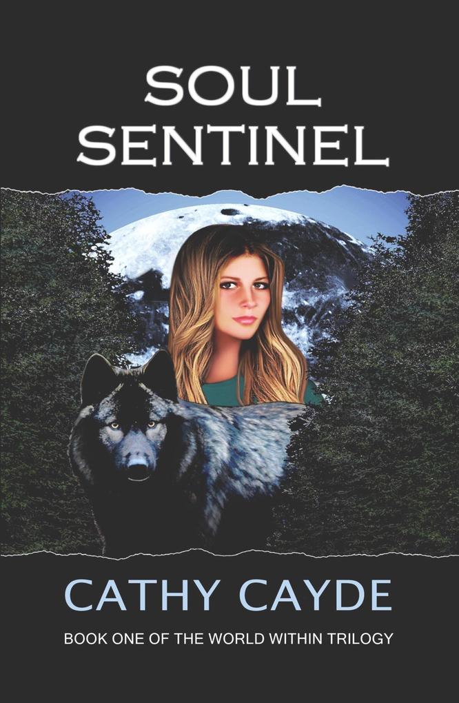 Soul Sentinel (Book One of the World Within Trilogy)