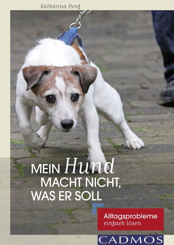 Mein Hund macht nicht was er soll