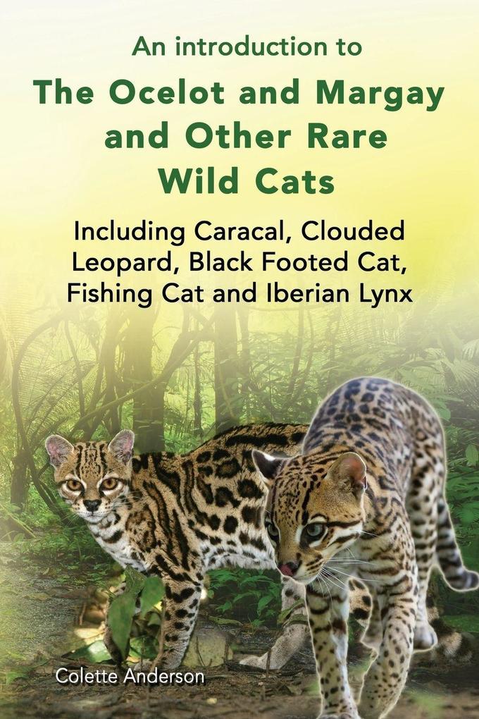 An introduction to The Ocelot and Margay and Other Rare Wild Cats Including Caracal Clouded Leopard Black Footed Cat Fishing Cat and Iberian Lynx