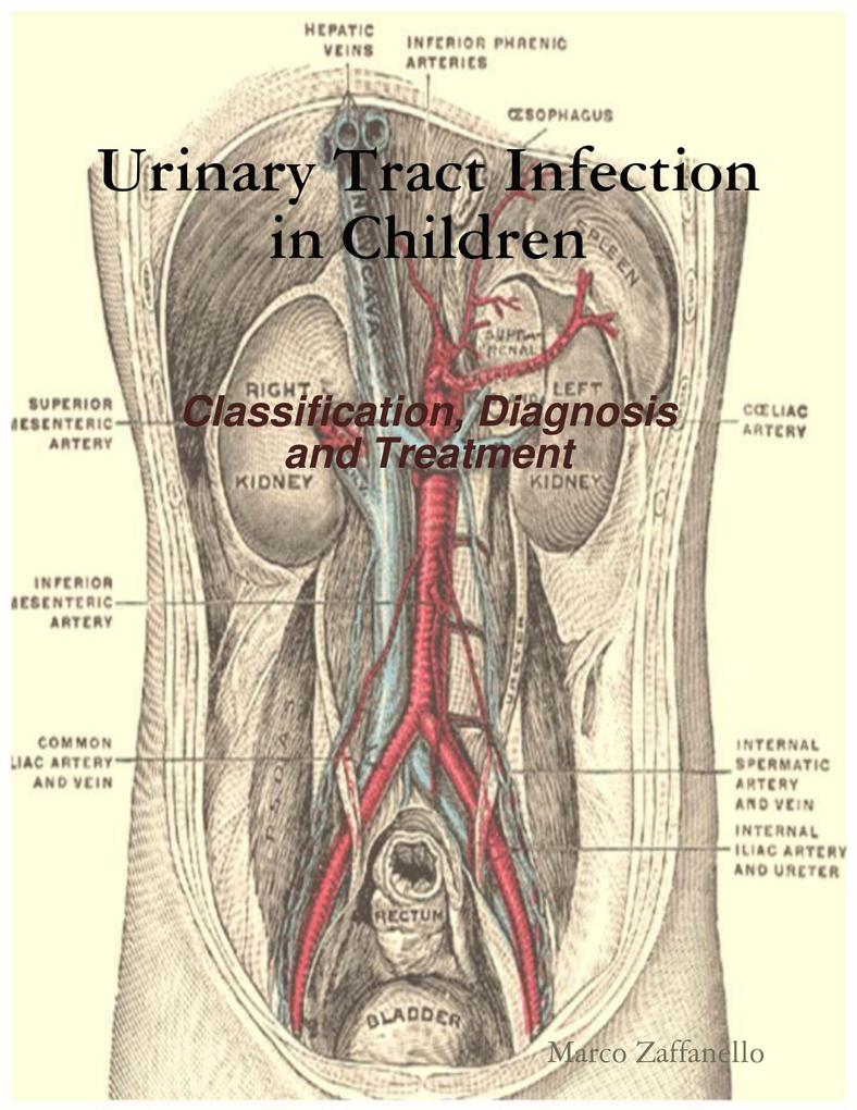 Urinary Tract Infection in Children - Classification Diagnosis and Treatment
