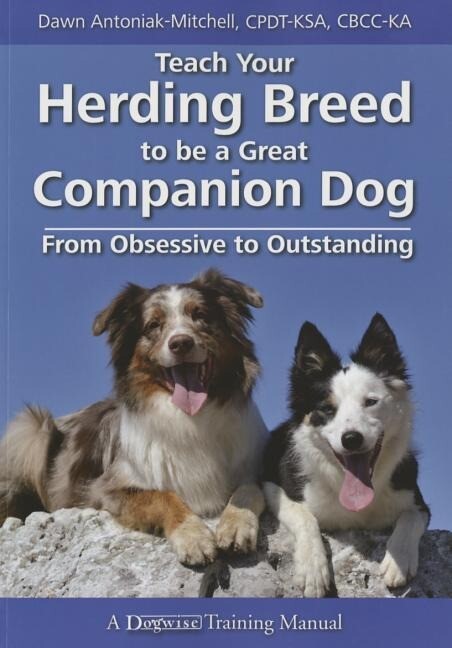 Teach Your Herding Breed to Be a Great Companion Dog from Obsessive to Outstanding