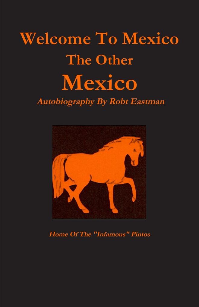 Welcome to Mexico : The Other Mexico: Home Of The Infamous Pintos
