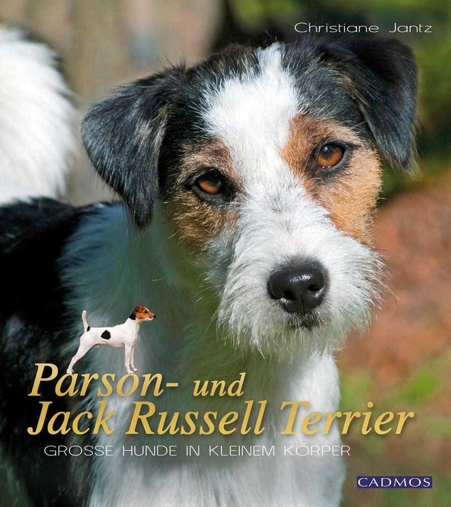 Parson- und Jack Russell Terrier - Christiane Jantz