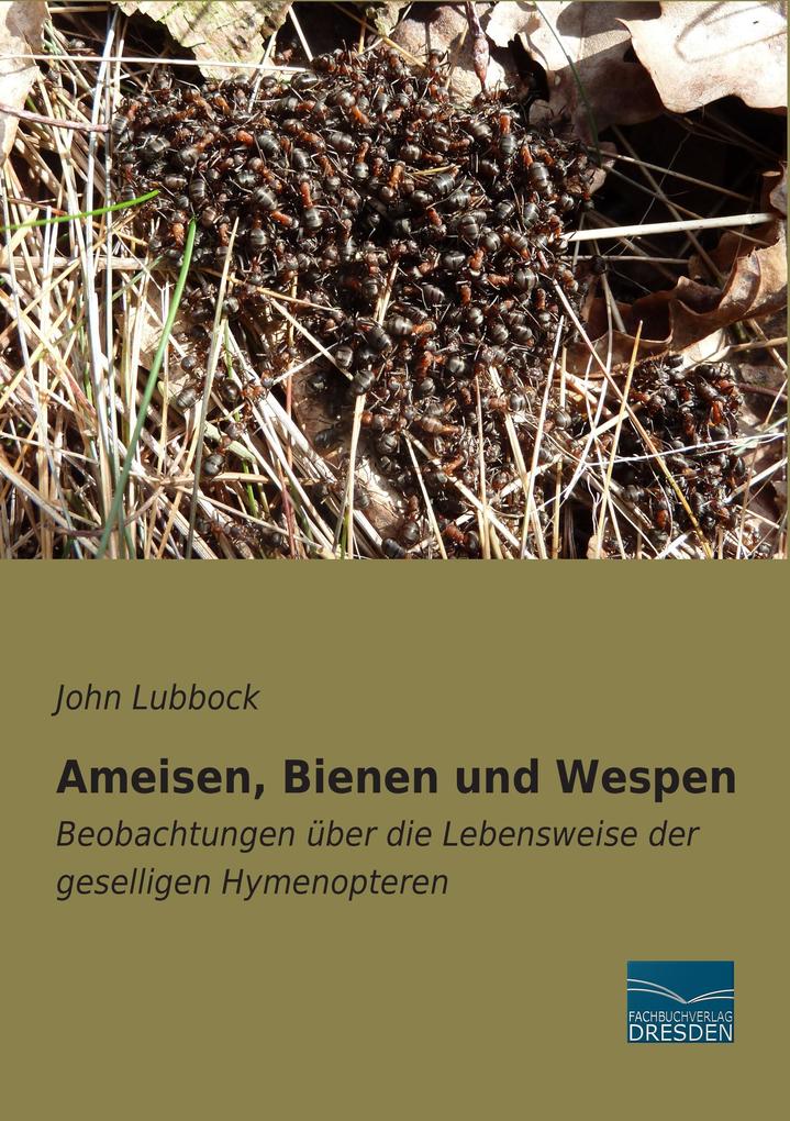 Ameisen Bienen und Wespen