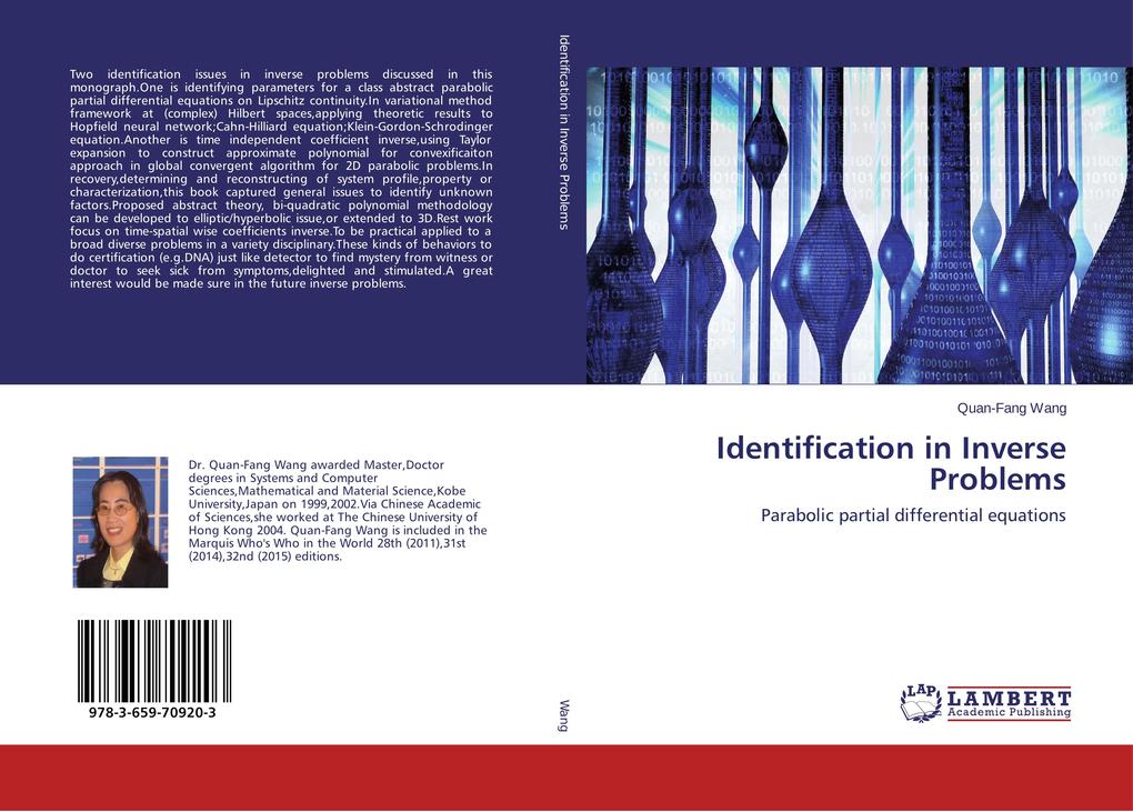 Identification in Inverse Problems