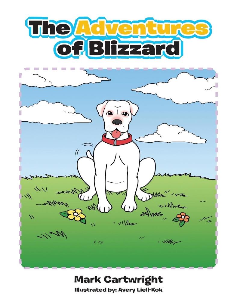 The Adventures of Blizzard