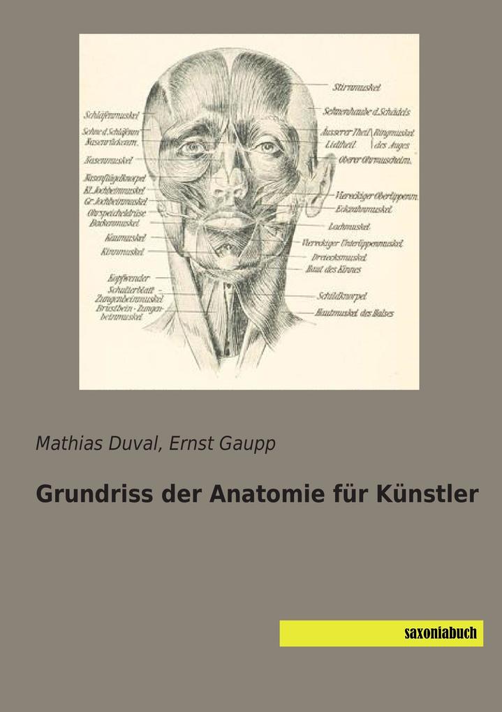 Grundriss der Anatomie für Künstler