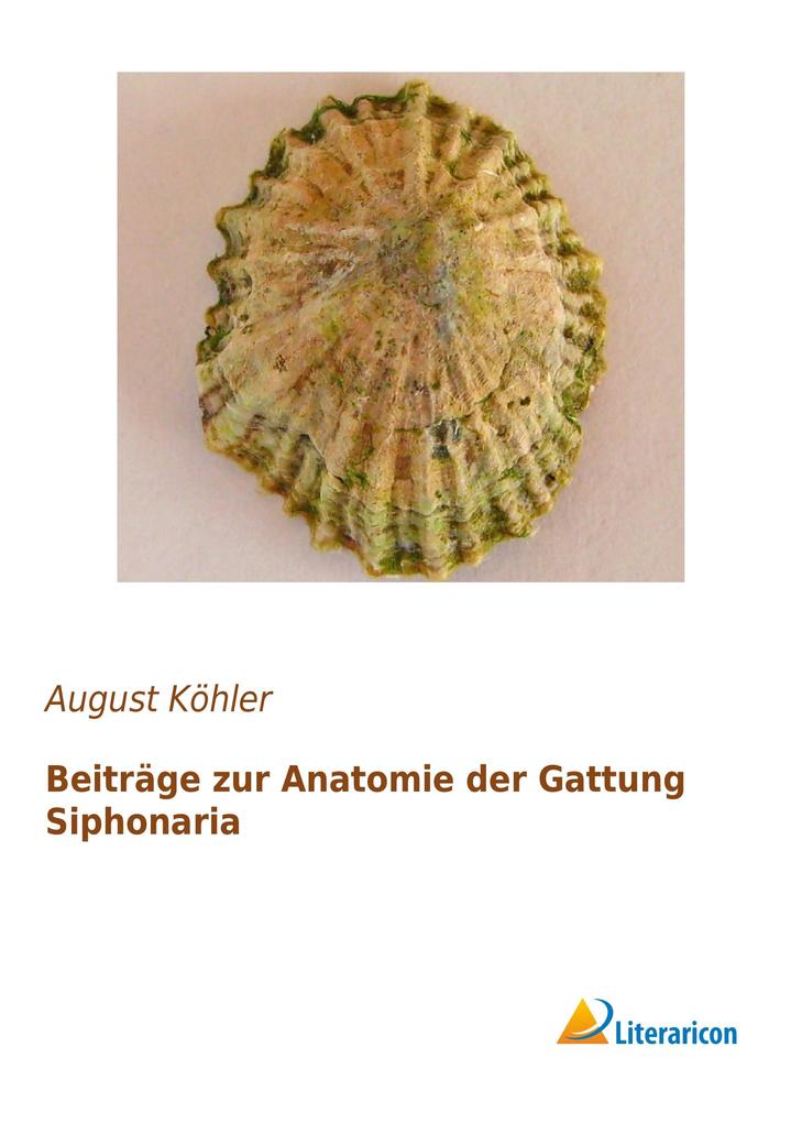 Beiträge zur Anatomie der Gattung Siphonaria