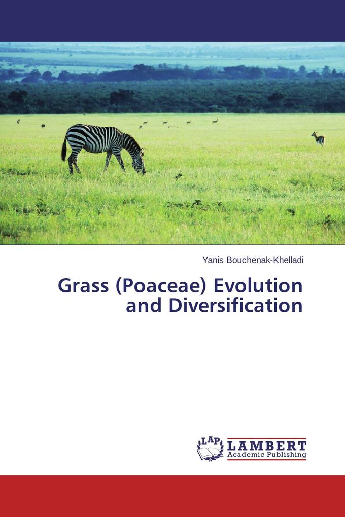 Grass (Poaceae) Evolution and Diversification