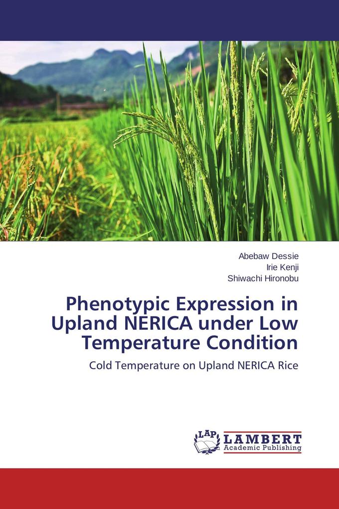 Phenotypic Expression in Upland NERICA under Low Temperature Condition