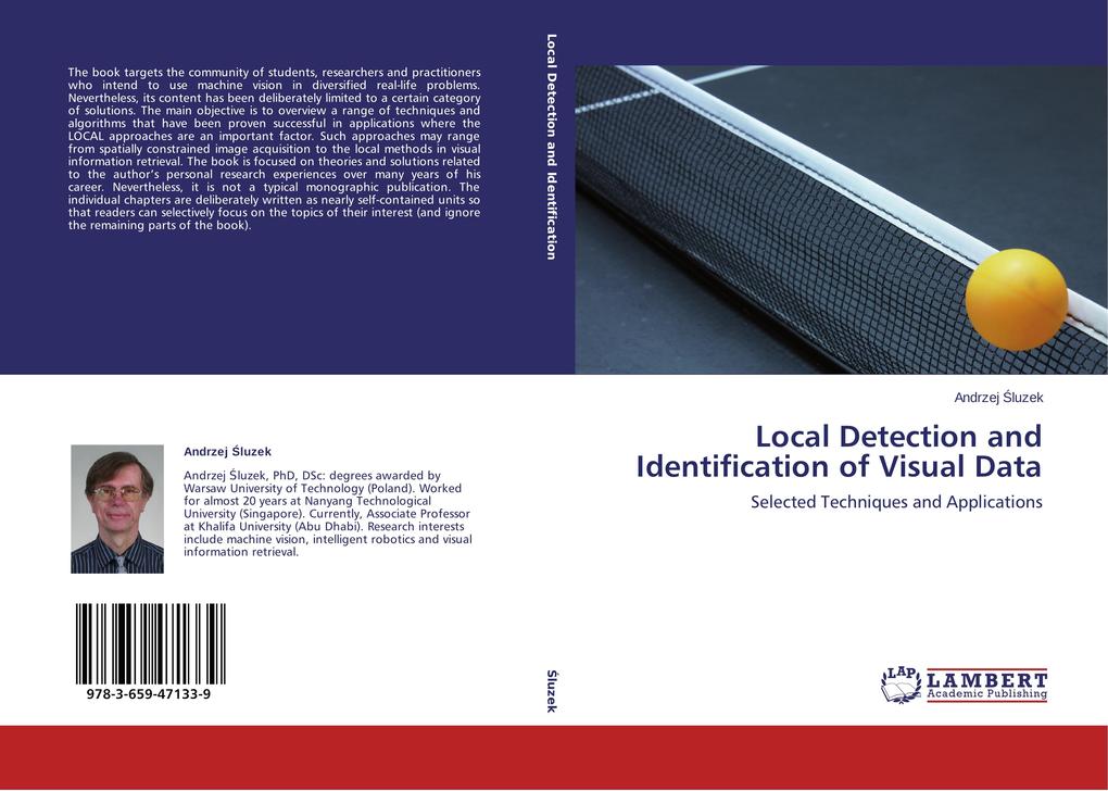 Local Detection and Identification of Visual Data