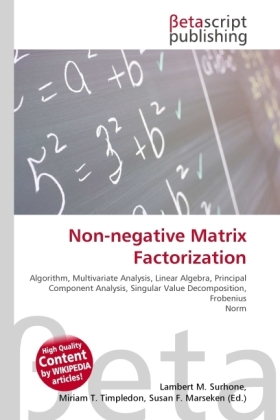 Non-negative Matrix Factorization