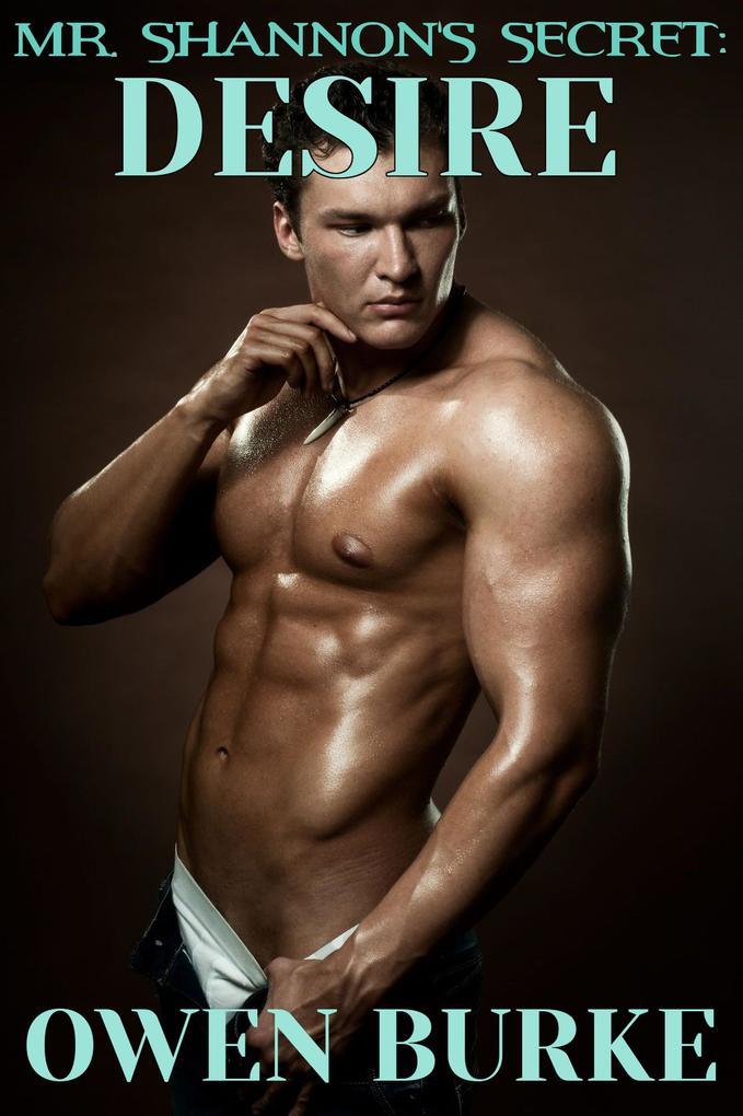 Mr. Shannon's Secret: Desire (Part 2)
