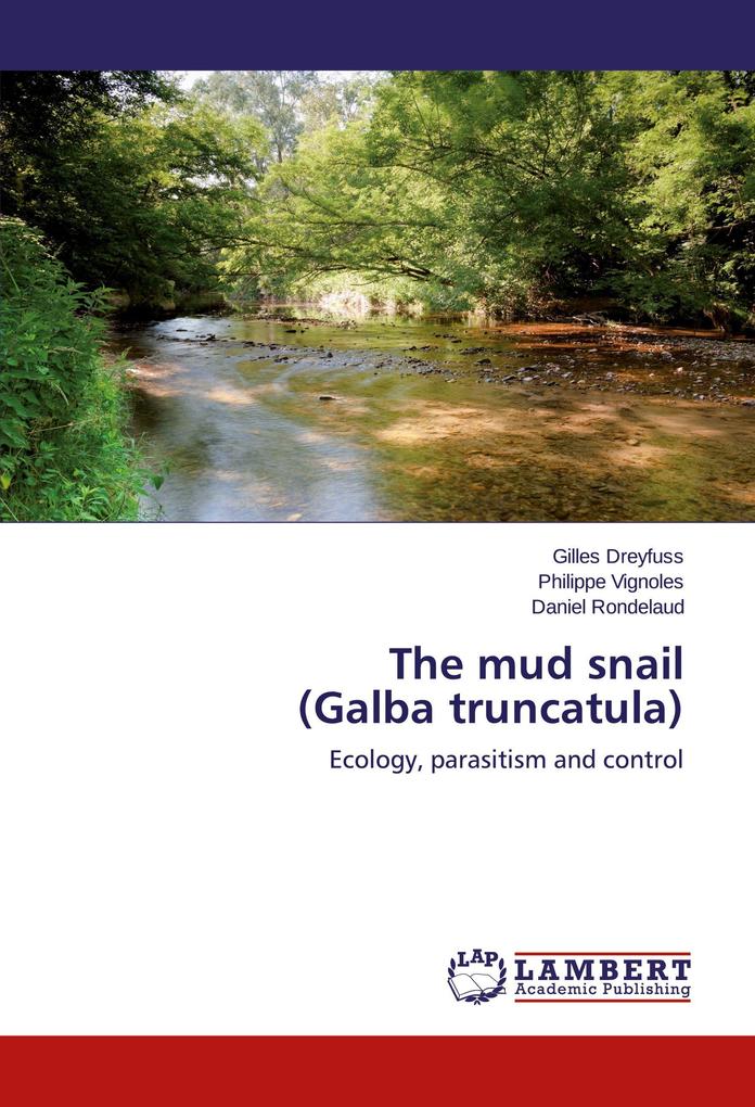 The mud snail (Galba truncatula)