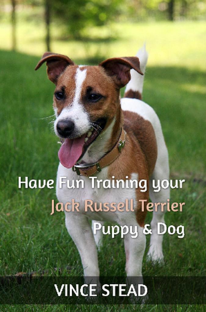 Have Fun Training your Jack Russell Terrier Puppy & Dog