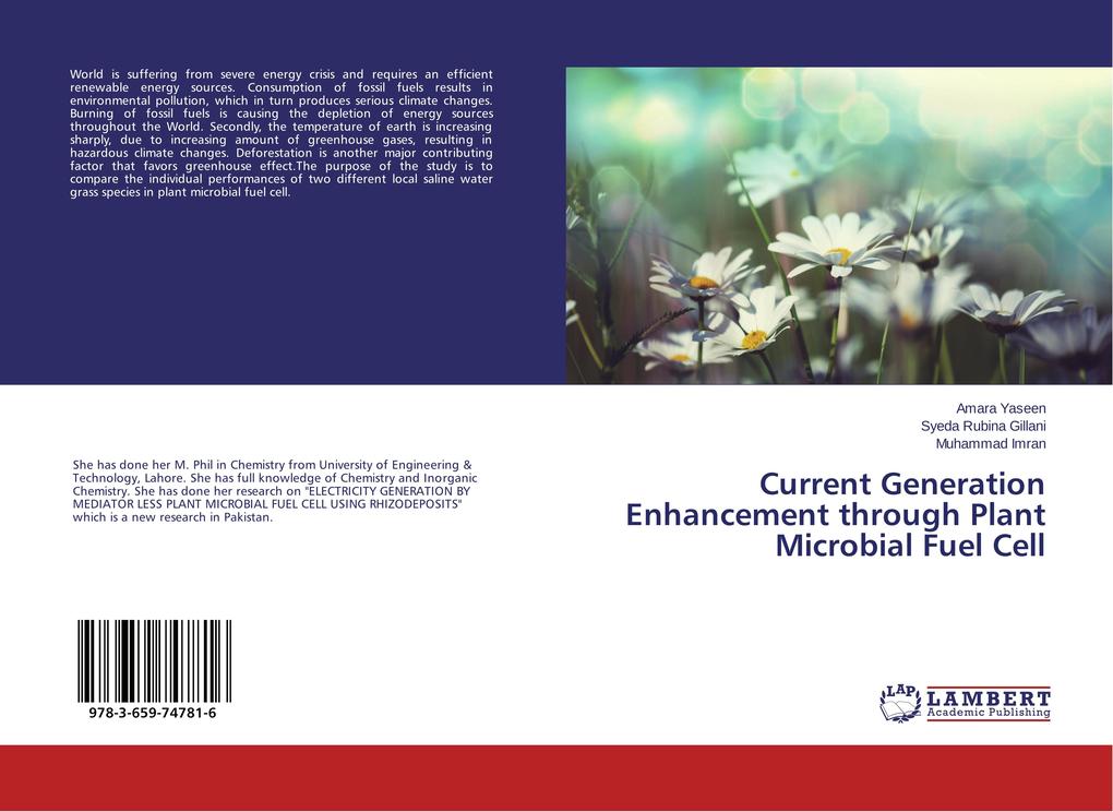Current Generation Enhancement through Plant Microbial Fuel Cell
