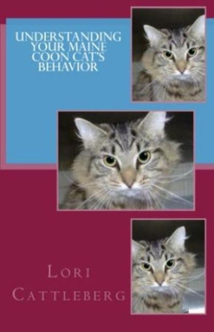 Understanding Your Maine Coon Cat‘s Behavior