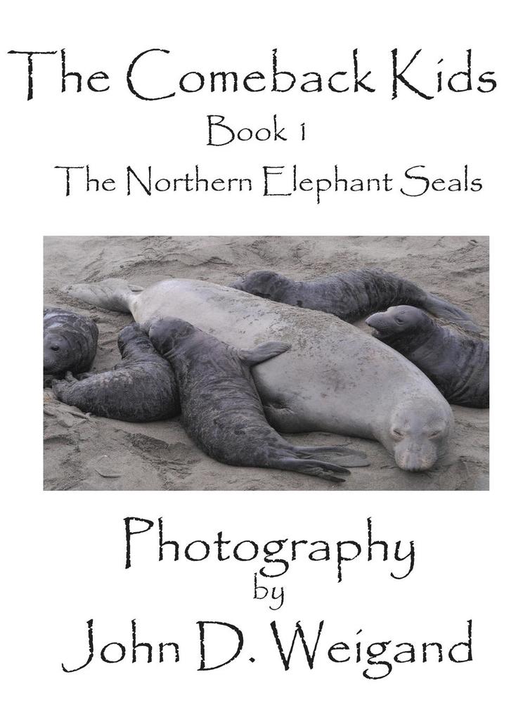 The Comeback Kids Book 1 The Northern Elephant Seals