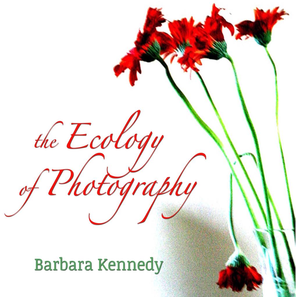 The Ecology of Photography