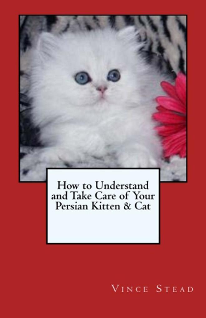 How to Understand and Take Care of Your Persian Kitten & Cat