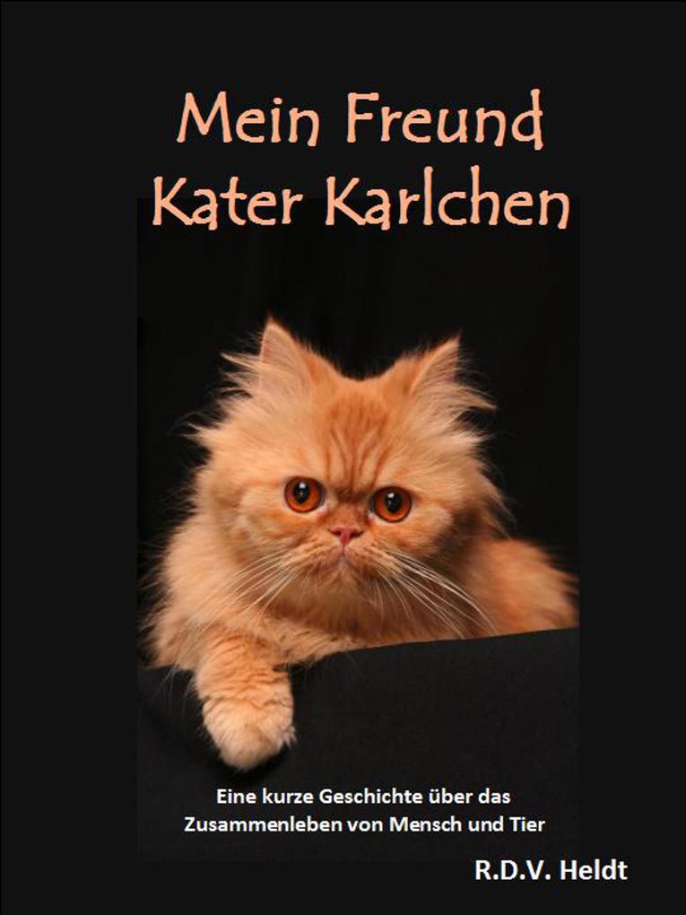 Mein Freund Kater Karlchen