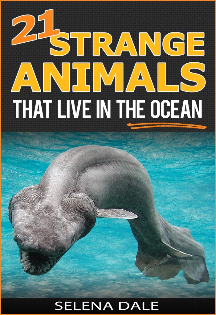 21 Strange Animals That Live In The Ocean (Weird & Wonderful Animals #3)