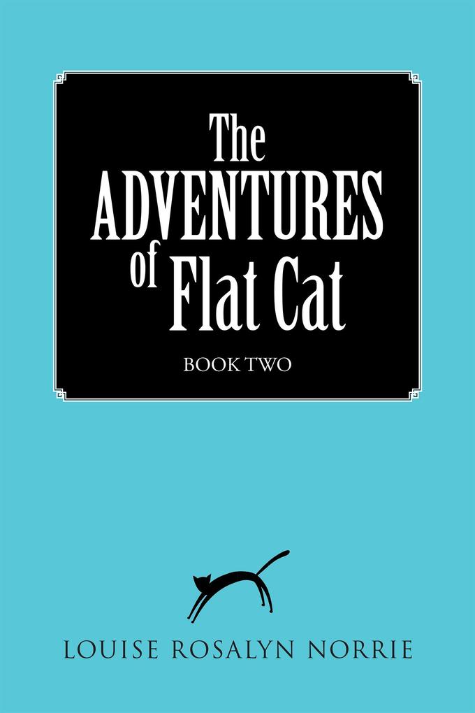 The Adventures of Flat Cat