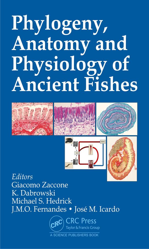 Phylogeny Anatomy and Physiology of Ancient Fishes