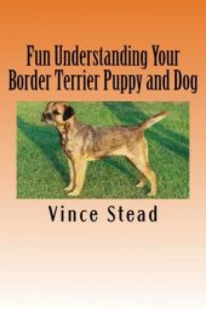 Fun Understanding Your Border Terrier Puppy and Dog