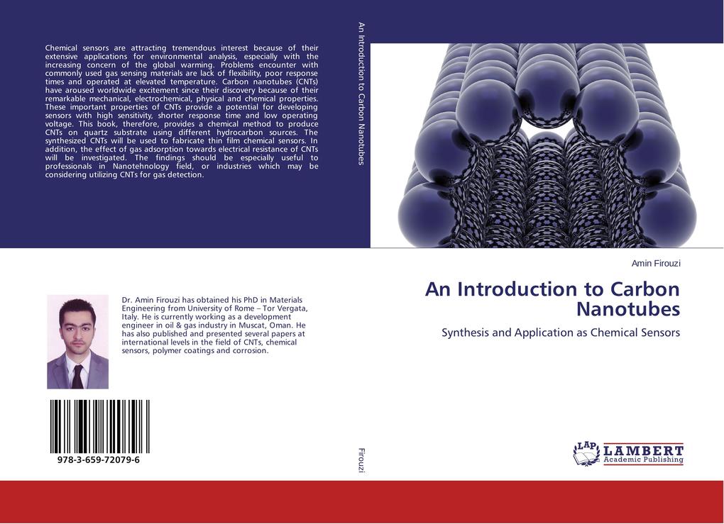 An Introduction to Carbon Nanotubes