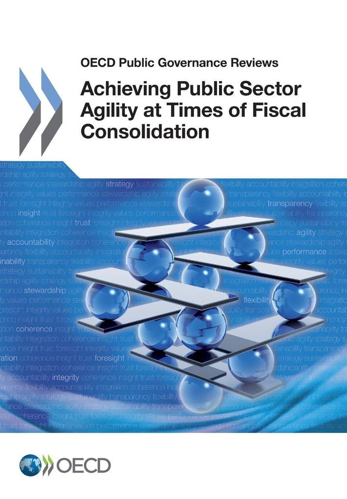 Achieving Public Sector Agility at Times of Fiscal Consolidation