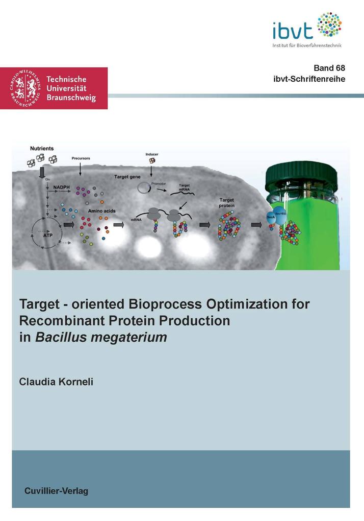 Targetoriented Bioprocess Optimization for Recombinant Protein Production in Bacillus megaterium