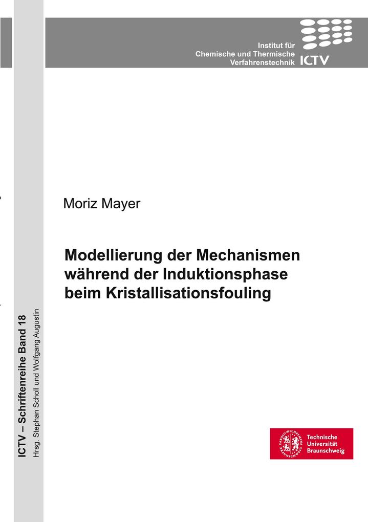 Modellierung der Mechanismen während der Induktionsphase beim Kristallisationsfouling (Band 18)