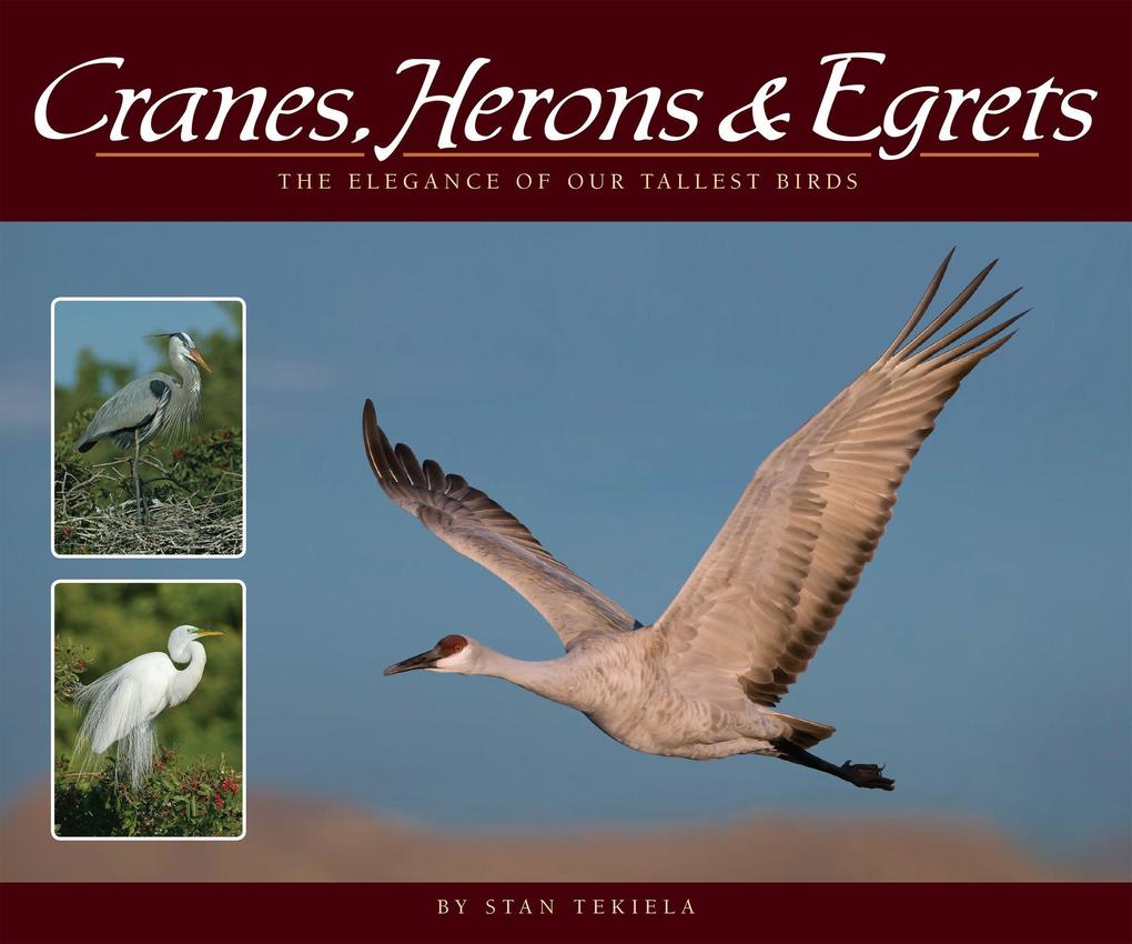 Cranes Herons & Egrets: The Elegance of Our Tallest Birds