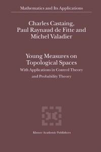 Young Measures on Topological Spaces - Charles Castaing/ Michel Valadier/ Paul Raynaud de Fitte