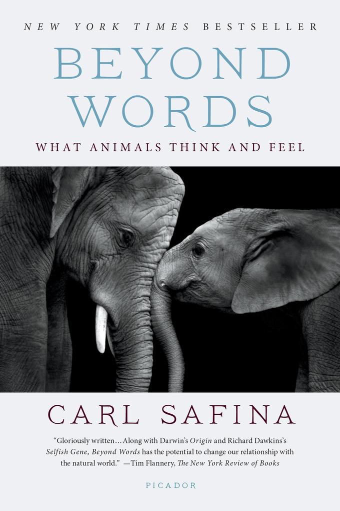 St. Martins Press Beyond Words