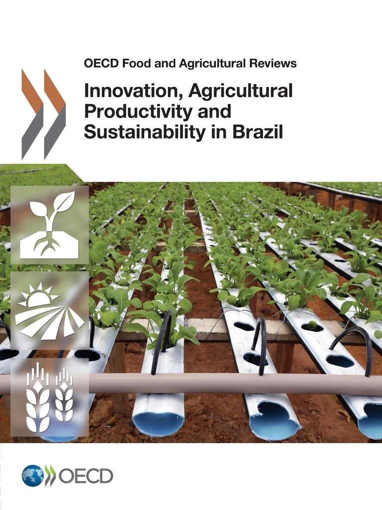 Innovation Agricultural Productivity and Sustainability in Brazil