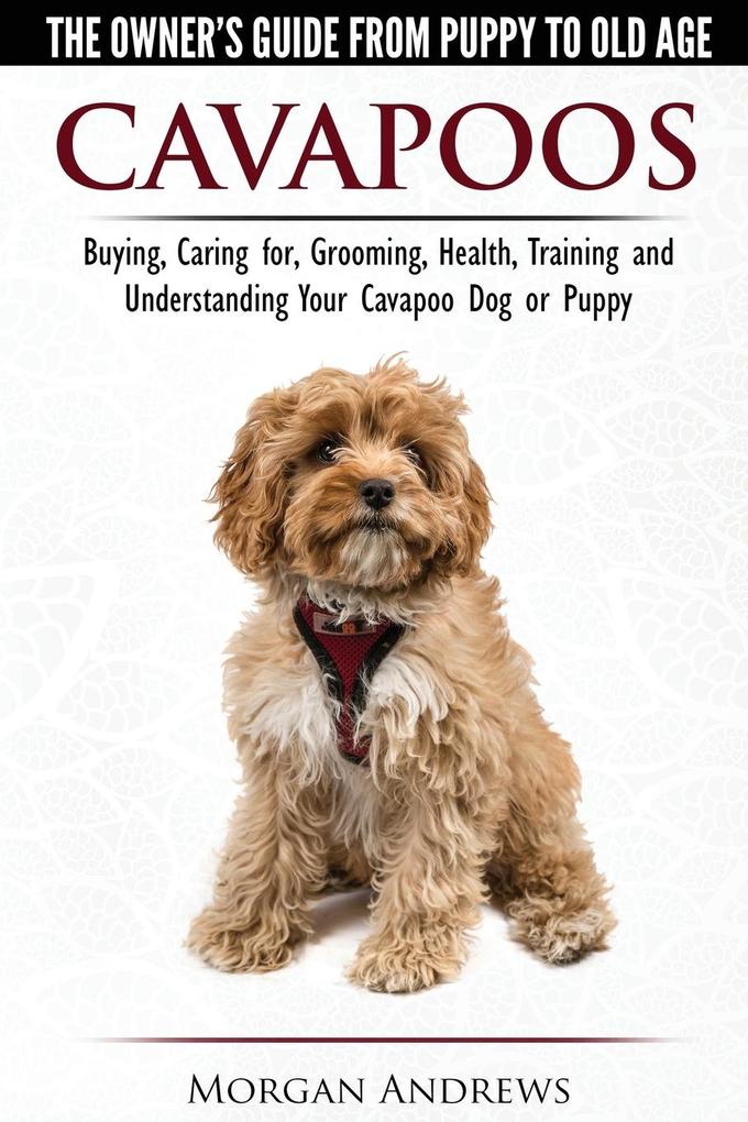 Cavapoos - The Owner‘s Guide From Puppy To Old Age - Buying Caring for Grooming Health Training and Understanding Your Cavapoo Dog or Puppy